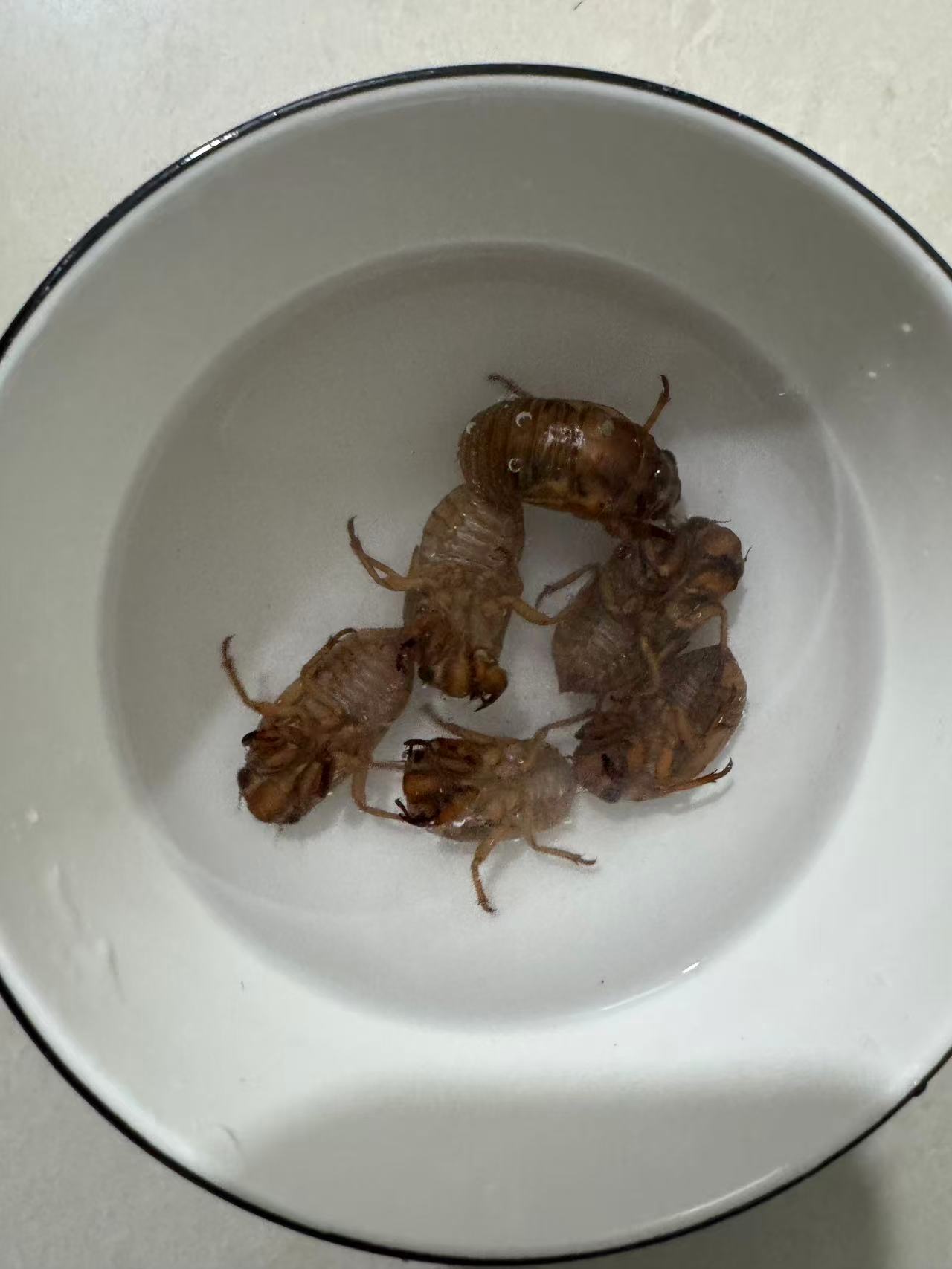 第 2 张，共 3 张
