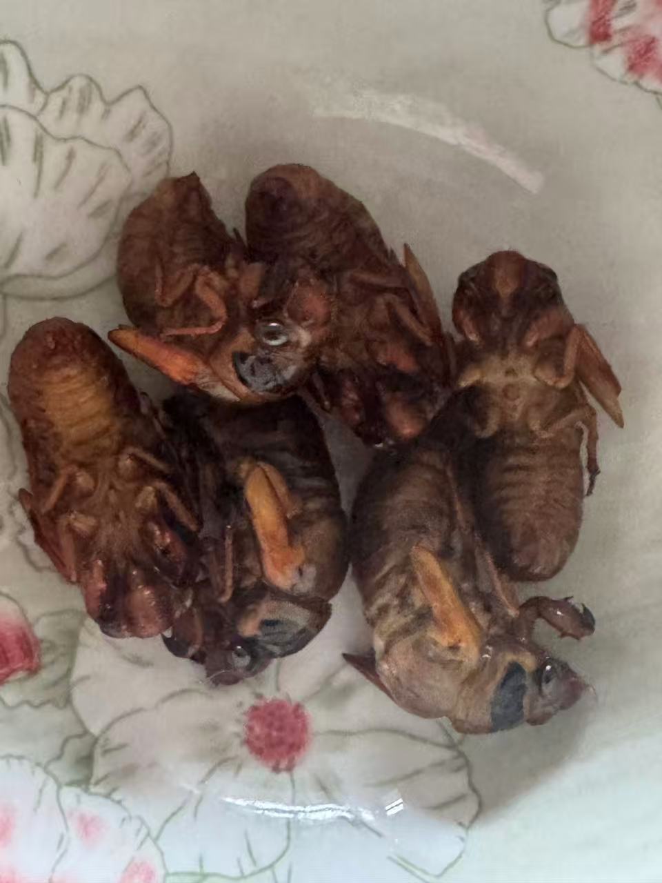 第 3 张，共 3 张